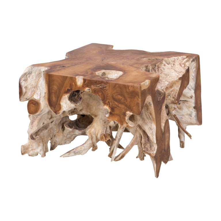 Root Coffee Table