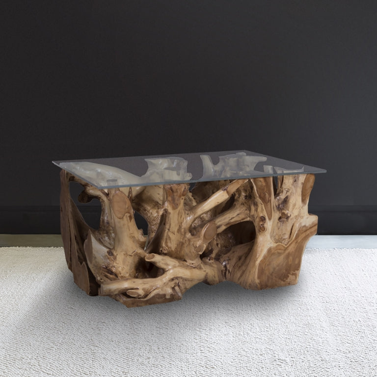 Teak Root Coffee Table